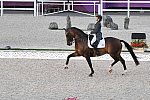OLY-2020-DRESSAGE-GP FREESTYLE-7-28-21-7839-123-BEATRIZ FERRER-SALAT-ELEGANCE-ESP-DDEROSAPHOTO