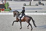 OLY-2020-DRESSAGE-GP DAY1-7-24-21-1975-121-NANNA SKODBORG MERRALD-ZACK-DEN-DDEROSAPHOTO