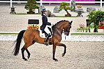 OLY-2020-DRESSAGE-GP DAY1-7-24-21-3387-122-YVONNE LOSOS DE MUNIZ-AQUAMARIJN-DOM-DDEROSAPHOTO