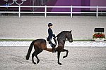 OLY-2020-DRESSAGE-GP DAY1-7-24-21-4946-155-MARIA CAETANO-FENIX DE TINEO-POR-DDEROSAPHOTO
