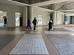 IMG 0577