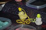 PCLI-11-7-09-89-Culinary-Aquarium-DDeRosaPhoto.jpg
