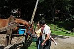 PCLI-8-22-09-Barbecue-029-DDeRosaPhoto.jpg