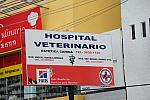 PanAmGames-MX-10-14-11-4811-DDeRosaPhoto.JPG