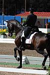 PanAmGames-MX-10-17-11-8359-CesarParra-Grandioso-USA-DDeRosaPhoto.JPG