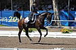 PanAmGames-MX-10-17-11-8428-CesarParra-Grandioso-USA-DDeRosaPhoto.JPG
