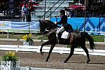 PanAmGames-MX-10-17-11-8435-CesarParra-Grandioso-USA-DDeRosaPhoto.JPG