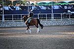 PanAmGames-MX-10-15-11-5018-DDeRosaPhoto.JPG
