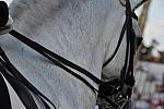 PanAmGames-MX-10-19-11-7851-DRE-IND-DDeRosaPhoto.JPG