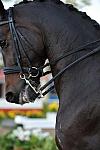 PanAmGames-MX-10-19-11-7884-DRE-IND-DDeRosaPhoto.JPG
