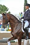PanAmGames-MX-10-19-11-7902-DRE-IND-TomDvorak-CAN-DDeRosaPhoto.JPG