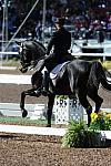 PanAmGames-MX-10-16-11-5848-SteffenPeters-WeltonsMagic-DDeRosaPhoto.JPG