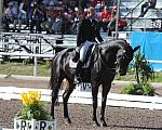 PanAmGames-MX-10-16-11-6040-SteffenPeters-WeltonsMagic-DDeRosaPhoto.JPG