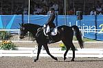 PanAmGames-MX-10-17-11-8835-SteffenPeters-WeltinosMagic-USA-DDeRosaPhoto.JPG