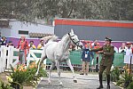 PanAm-Peru-EV-8-1-19-1070-LuisAlfonsoLarrondoMunoz-PuertoOctay-CHI-DDeRosaPhoto