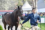 PanAm-Peru-SJ-Jog-8-4-19-0843-JuanMorel-Ferdinand-GUA-DDeRosaPhoto