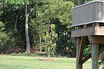 So8ths-5-5-12-XCDay-2476-KaylinMedlin-Watch-Me-Now-DDeRosaPhoto