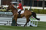 Spruce-Meadows-9-5-13-8298-LaurenTisbo-RoundthornMadios-USA-DDeRosaPhoto