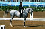 Michael_Poulin_Barcelona-032-DDeRosaPhoto.JPG