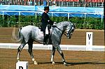 Michael_Poulin_Barcelona-034-DDeRosaPhoto.JPG
