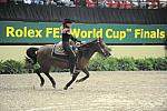WC09-VanGrunsven-dd-DDeRosaPhoto