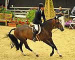 PeterPletcher-USHJA-Derby-8-20-10-DER_8095-QRnd1-Dominick-DDeRosaPhoto.JPG