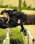 RachelKennedy-USHJA-Derby-8-20-10-DER_7671-QRnd7671-Ebony-DDeRosaPhoto.JPG