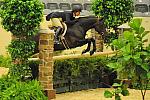 RachelKennedy-USHJA-Derby-8-20-10-DER_7682-QRnd1-Ebony-DDeRosaPhoto.JPG