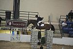 374-Twisther-JonathanMcCrea-Kentucky-HagyardGP-5-15-08-DeRosaPhoto
