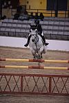 DSC_1837-DeRosaPhoto.JPG
