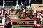 AHJF-2-11-09-738-Sunshine-PeterPletcher-1stYrA-DDeRosaPhoto