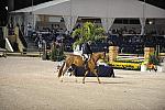 AHJF-2-14-09-HtrClassic-469-Arabella-PeterPletcher-DDeRosaPhoto