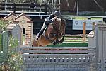 137-Pasolongo-RobBielefeld-AHJFHunterClassic-2-20-08-GrConf-DeRosaPhoto