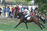 WEG2-10-2-10-EV-XX-5604-ImperialCavalier-MaryKing-DDeRosaPhoto