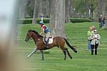 989-DorninAnneNorth-LionDisplay-Rolex-4-26-08-DeRosaPhoto.jpg