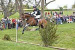 Rolex-4-27-13-XC-4083-WilliamFox-Pitt-GBR-SeacookieTSF-DDeRosaPhoto