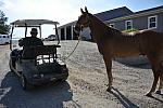 So8ths-5-3-12-Education-2232-DDeRosaPhoto
