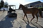So8ths-5-3-12-Education-2233-DDeRosaPhoto