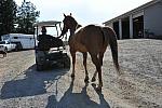 So8ths-5-3-12-Education-2234-DDeRosaPhoto