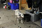 So8ths-5-5-12-XCDay-4044-DDeRosaPhoto