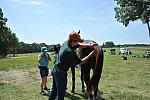 So8ths2-5-5-12-XCDay-3506-DDeRosaPhoto