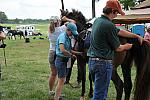 So8ths2-5-5-12-XCDay-3703-DDeRosaPhoto