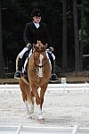 So8ths-5-4-12-Dressage-1380-SarahZimmer-MardiGras-DDeRosaPhoto