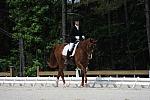 So8ths-5-4-12-Dressage-0882-KelseyBriggs-TheItalianJob-DDeRosaPhoto