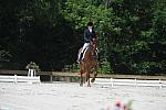 So8ths-5-4-12-Dressage-0923-KristinNeill-BigBonesBailey-DDeRosaPhoto