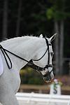 So8ths-5-4-12-Dressage-1166-DCMcBroom-GroundForce-DDeRosaPhoto