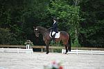 So8ths-5-4-12-Dressage-0619-LindsayStaianoWilliams-TriumphII-DDeRosaPhoto