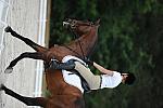 So8ths-5-4-12-Dressage-0679-AllieKeresman-MysticDora-DDeRosaPhoto