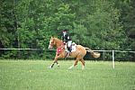 So8ths-5-6-12-SJDay-5285-SarahZimmer-MardiGras-DDeRosaPhoto