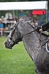 So8ths-5-6-12-SJDay-5156-GigiJoseph-GoneWithTheWin-DDeRosaPhoto